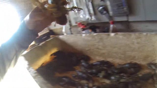 У раков пена изо рта смотреть онлайн