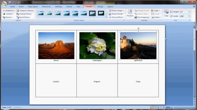 Microsoft Word Tutorial |How to Insert Images Into Word Document Table смотреть онлайн