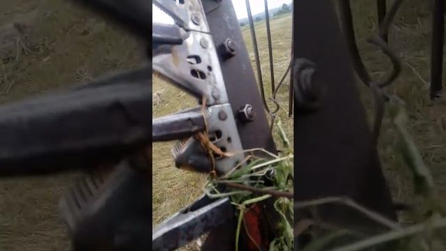 Гребем сено 21 век... смотреть онлайн