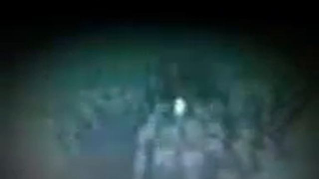 как вырастить самое большое дерево в Minecraft смотреть онлайн