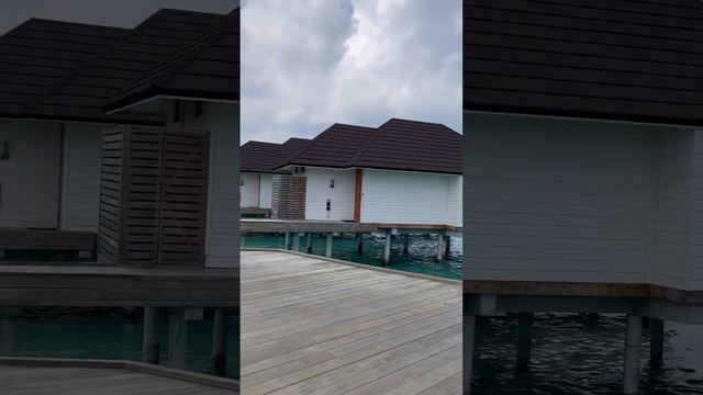 TUI Blue Olhuveli || Water villa with pool || Sun siyam Olhuveli Maldives || Anniversary special смотреть онлайн