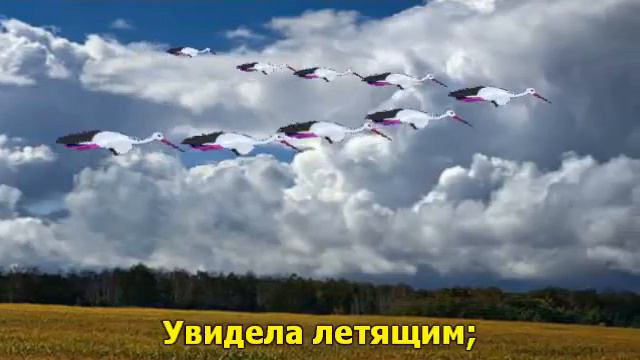 Журавлёнок смотреть онлайн