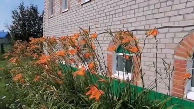 Уповай на АЛЛАХА смотреть онлайн