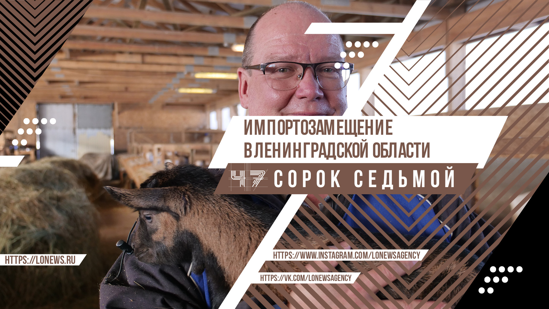 Импортозамещение в Ленинградской области смотреть онлайн