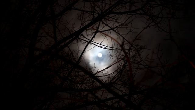 Night stories (with sound of crickets chirping) - The Legend of Sleepy Hollow смотреть онлайн