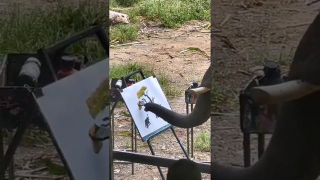 Elephant Painting Pictures смотреть онлайн