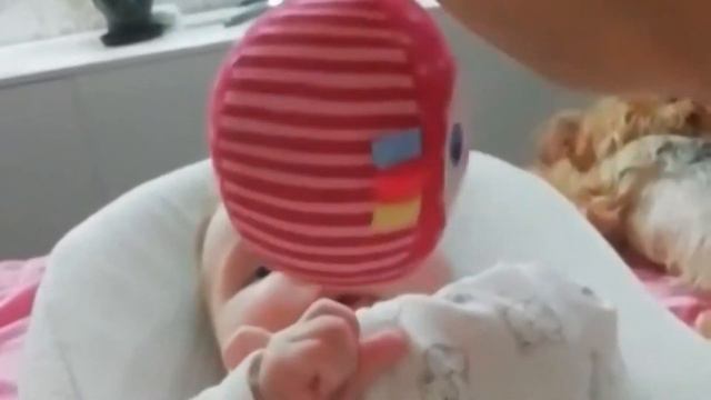 Я родился , что бы быть счастливым!!! смотреть онлайн