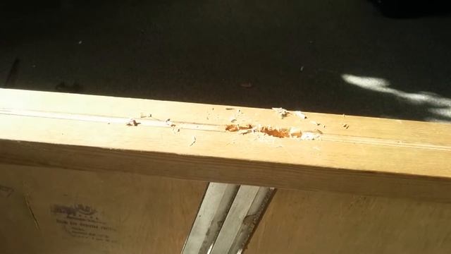 ЧТО ЗА СТАЛЬ ? смотреть онлайн