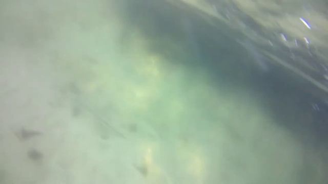 река Ижора в посёлке Пудости ч.9 смотреть онлайн