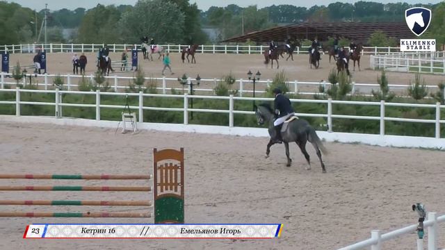 Кетрин. Емельянов Игорь. 85 см. КСК Клименко Стейбл. 30.05.2020 г. смотреть онлайн