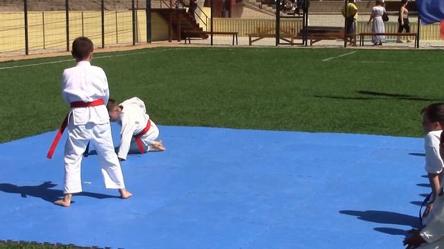 Показательные выступления в детском лагере "КОЛОСОК" 12.06.2015 г. смотреть онлайн