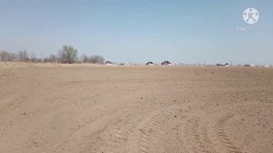 Полный этап подготовки поля под посев люцерны,по просьбе подписчиков.