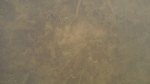 Зимняя рыбалка на крупного окуня. 27.01.2018.