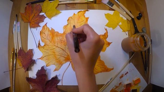 Drawing an autumn leaf "Кленовый лист" Timelapse video смотреть онлайн