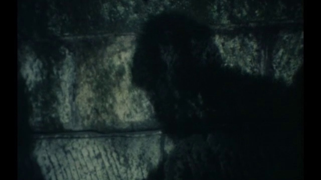 太陽にほえろ！ 第218話 殿下とスコッチ смотреть онлайн