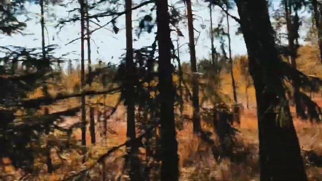 HYUNDAI SANTA FE 2020 NEW смотреть онлайн