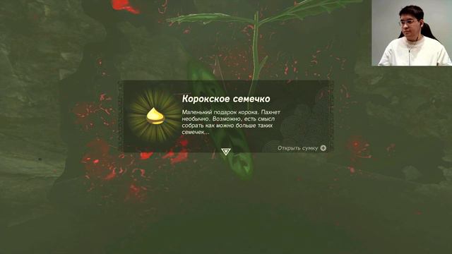 Прохождение The Legend Of Zelda TOTK #25: Хайлийский щит