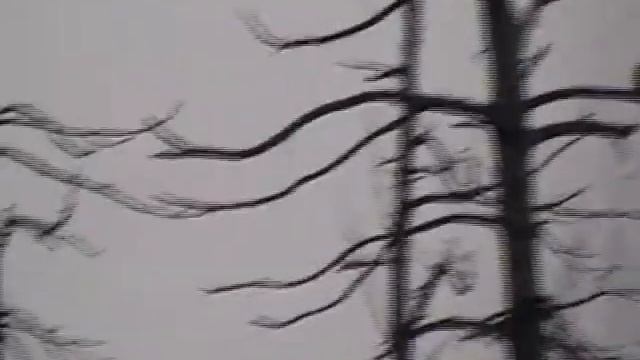 видео камера 325 смотреть онлайн
