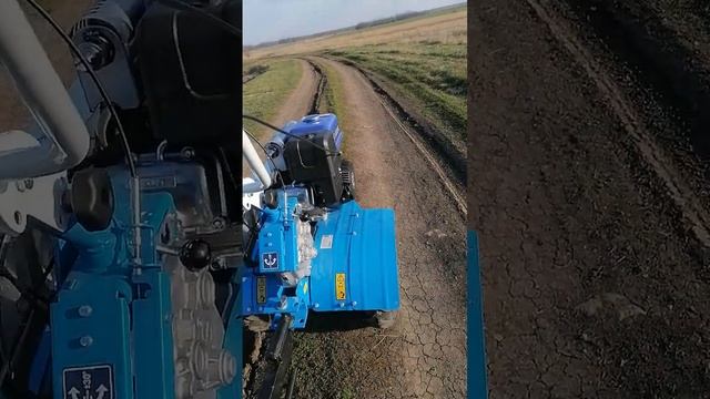 Обкатка нового мотоблока нева мультиагро. смотреть онлайн