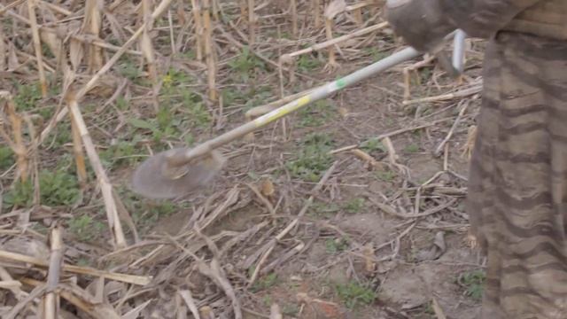 Китайская косарка за 6500 в работе. смотреть онлайн