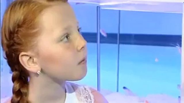 Каракатица. в МОРСКОМ АКВАРИУМЕ на Чистых прудах смотреть онлайн