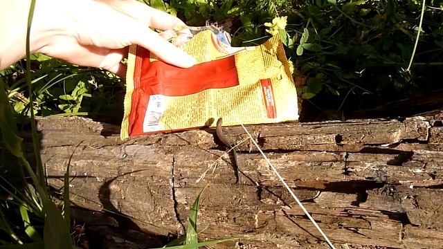 Как легко и быстро поймать ящерицу смотреть онлайн