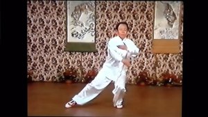 Тайцзи цюань стиль Ян 42 формы