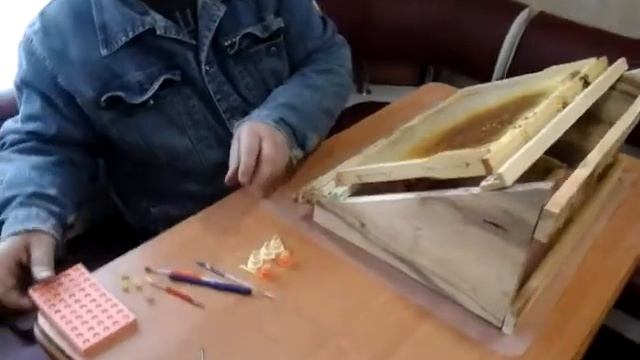 Удобная подставка для прививки личинок. смотреть онлайн