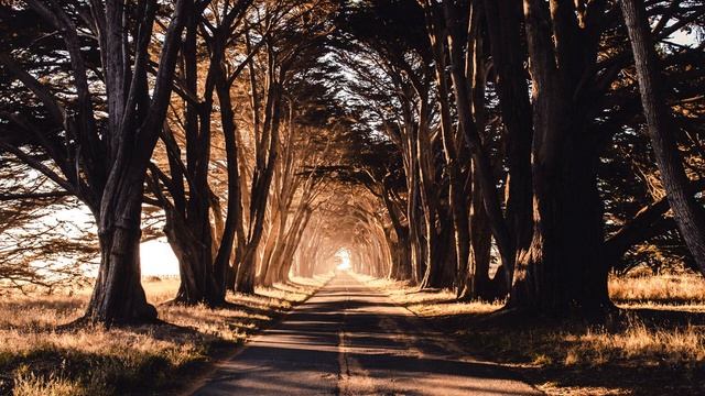 Молитва о выздоровлении эндокринной системы смотреть онлайн