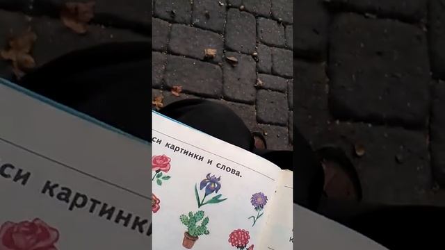 Пингвин Труша и азбука. Урок 3 смотреть онлайн