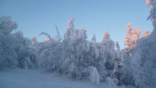 Зима ... Русский север... граница Россия - Норвегия смотреть онлайн