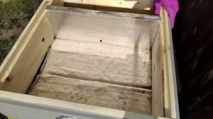 как получить майский мёд с семей средней силы