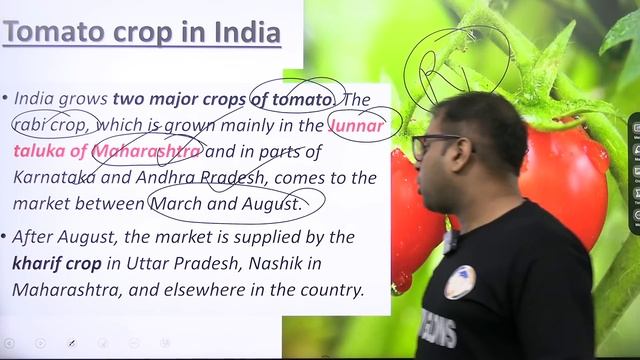 Tomatoes at Rs 100 per kg: What’s behind the price hike? смотреть онлайн