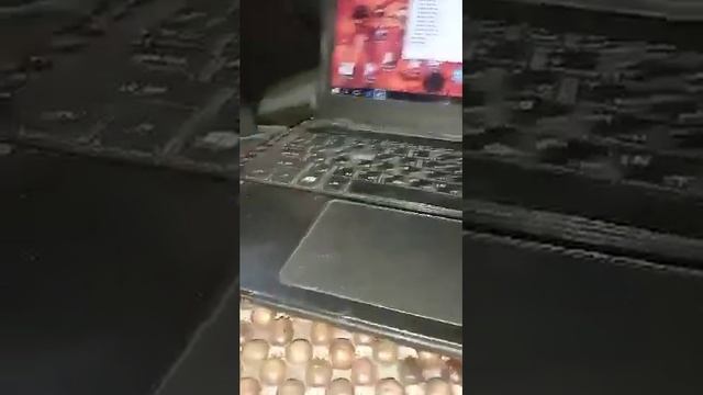 Кобальт иммо офф $ Kobalt Immo Off