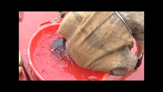Ритуал прохождения Экватора.Посвящение в моряки Нептуном и чёртом/Видео от подписчика смотреть онлайн
