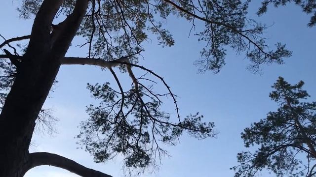 Озеро Высокинское. 9 мая 2020 г. смотреть онлайн