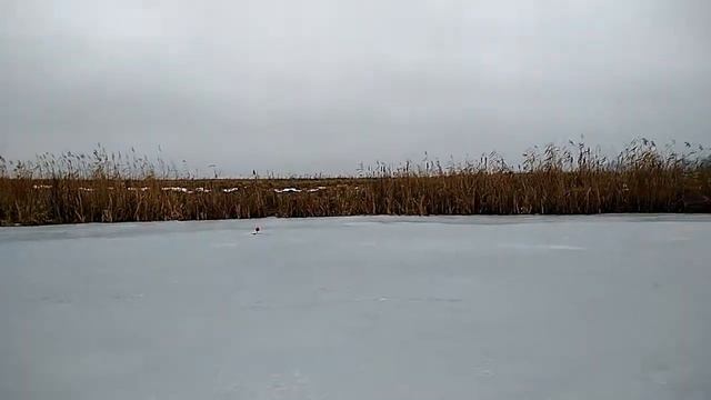 красноперка НА ЛАДОНЬ полное ведро / первый лед 2019 смотреть онлайн