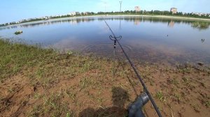 Ловля на фидер.  Как отсечь мелкого окуня?