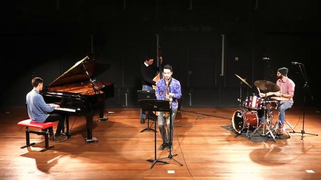 Dolphin Dance смотреть онлайн