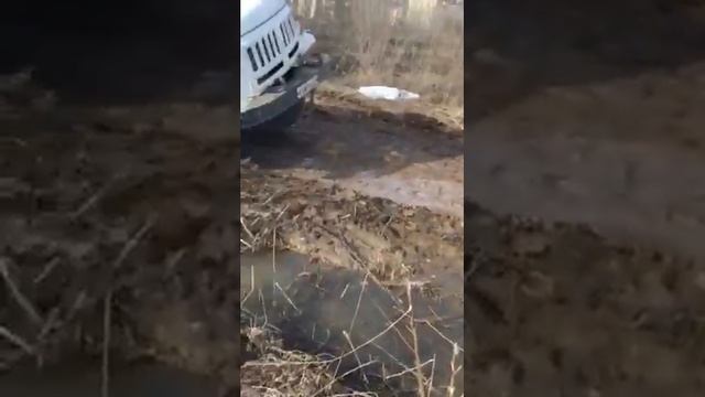 Беломордый застрял смотреть онлайн