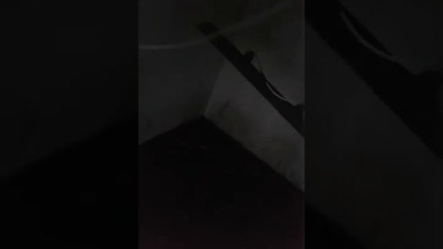 как построить дом прошло три года смотреть онлайн