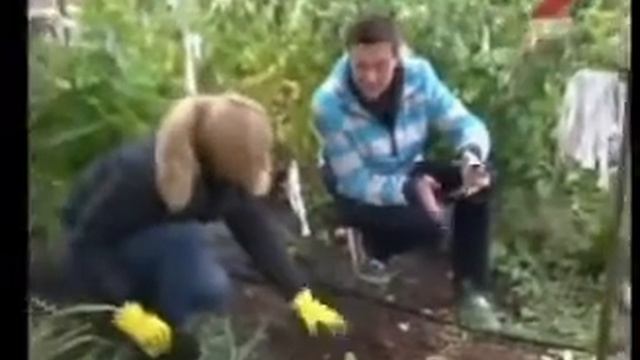 Малина.Мастер класс.Марина Рыкалина и Виталий Декабрев. смотреть онлайн