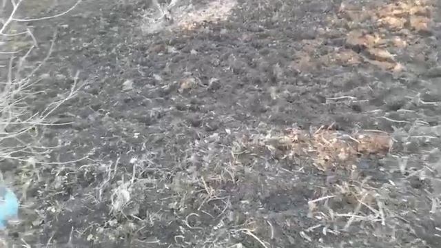 Мотоблок Нева после ремонта двигателя смотреть онлайн