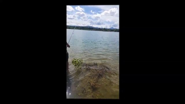 peche a vue carpe # un jeune tien une petite carpe - sa fait forcé!!! смотреть онлайн