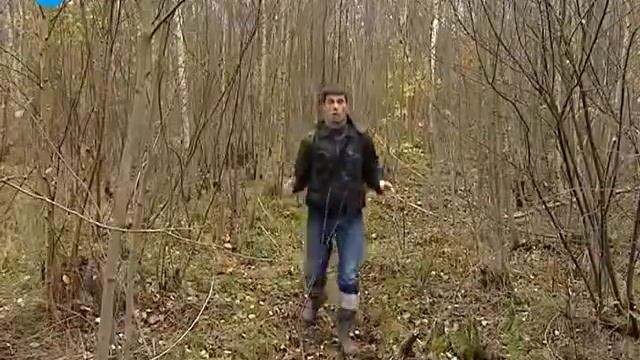 В лесах Ленинградской области обнаружен первый серийный немецкий танк Тигр смотреть онлайн