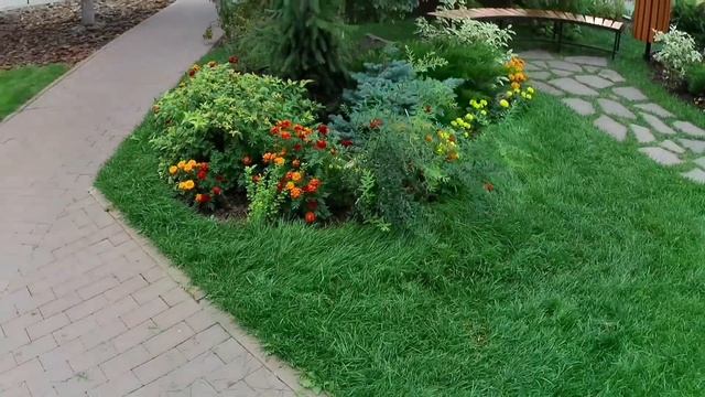 Орехово-Зуево. 14 сентября 2023г.