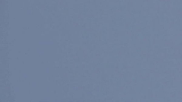 Сокол Сапсан и Ястреб Тетеревятник атакует голубей. Falcon Peregrine and Goshawk Attack Doves