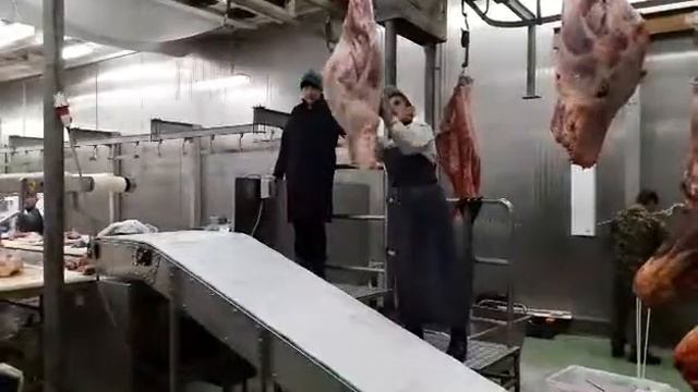 Транспортер модульный с изломом смотреть онлайн