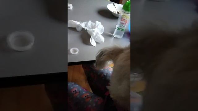 Ramen run смотреть онлайн