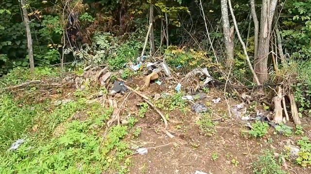 Утар загрязнили. Срочно, нужно очистить. смотреть онлайн